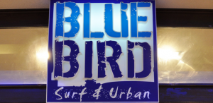Blue Bird