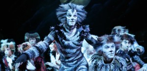 Cats the Musical, Nov 5-15